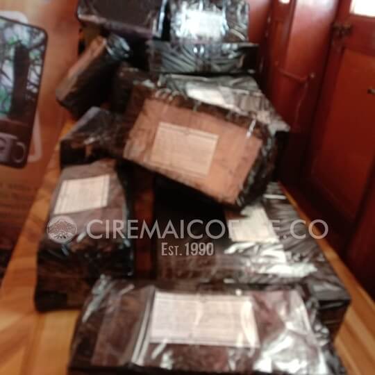 Webp.net-resizeimage-13